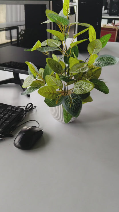 intel core i3 3rd (8 GB Ram,256 GB SSD) 19 inch Monitor, Keyboard and Mouse- 1 Year Warranty